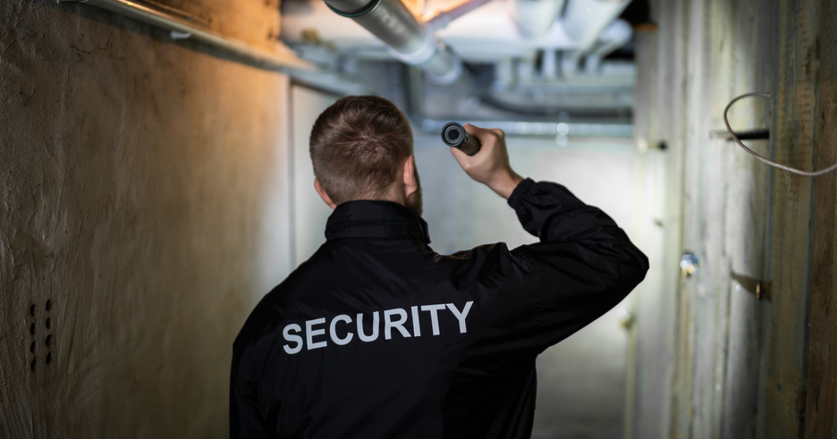 TDRM Security